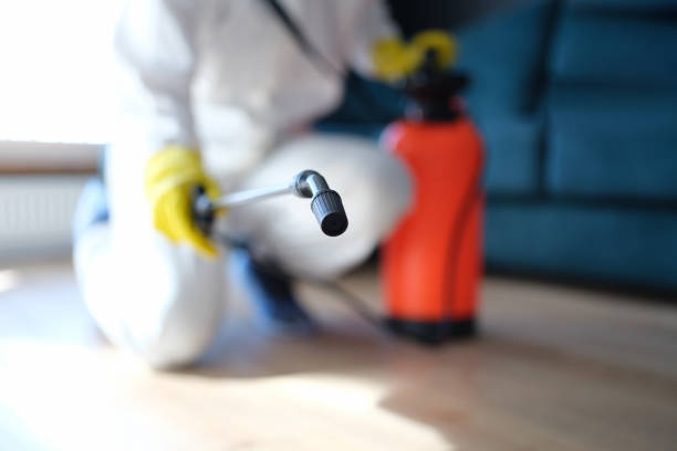 Biohazard Mold Removal in Dulce, NM